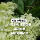 영흥수목원 야외 이미지