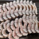 제주통큰장어 이미지