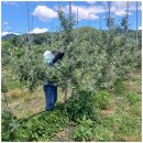 도림농장 이미지