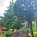 늘벗펜션 이미지