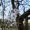 마중 가던 길 | 전주 수목원 들러 역시 닭발은 숯불이지~ 황금닭발