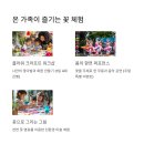 봄날태권도 이미지
