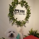 센텀1972 이미지