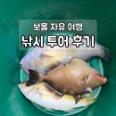 필리핀 보홀 자유여행 프라이빗 낚시투어 및 일몰 감상 후기