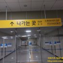 대영오토 | [공지] 1종 보통 운전면허 적성검사 갱신 후기 [용인면허시험장]