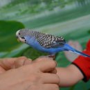 여주곤충박물관 이미지