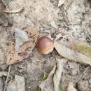 경암공원2 이미지