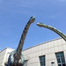 해남공룡박물관 이미지