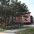 모텔쉬리 이미지