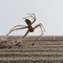 공중제비 이미지