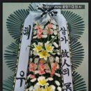 부림한방병원 이미지