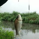 보성강6 이미지