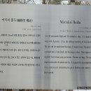 미륵리 불두 이미지