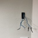 현비디오 이미지