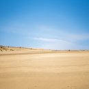 해안사구 이미지