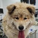 노원-상계-2851 이미지