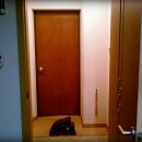 파라오모텔 이미지