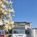 에스제이헤어샵 네이버블로그