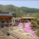 효자공원 이미지