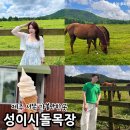 더 테쉬폰 | 제주 성이시돌목장 시간 우유부단 카페 아이스크림 테쉬폰 입장료