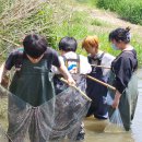 은여울중학교 이미지