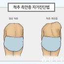 새부산스포츠 이미지