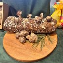 혜미농장 | 헤븐머쉬 버섯스프레드 명절선물, 집들이선물로 추천하는 내돈내산 후기