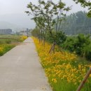 양지천3 이미지