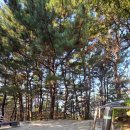 덕천3동-4 이미지