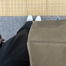 (주)아성다이소 수정구청점 | 10월 셋째주 포토 다이어리 (갑자기 대전을 곁들인)