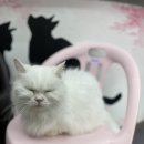 베키보육원 이미지