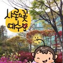 샤론의정원 네이버블로그