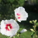 평화공원 내 이미지