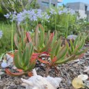 랄랄라더예쁜협재펜션 | [제주 협재] 연구실 학회 탐방