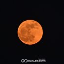 놀라와