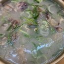 산성식당 | 영천시장 소머리 국밥 맛집 산성식당 소머리곰탕, 수육 내돈내산 후기