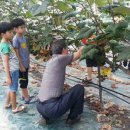 무창 농촌체험 휴양마을 이미지