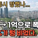 "제발 살려주세요" 세종시의 절규. 무려 60%가 공실. 7억 상가 1억에 나와도 아무도 안사 김부자TV_경제적자유를 위해 구독자 7 이미지