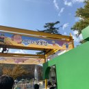 보물섬 | [문경 에코랄라] 거인의 보물섬 추천~ 에코타운, 상상체험, 자이언트 포레스트