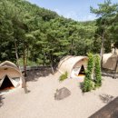 춘천에서 왔어요 | 춘천 글램핑 제대로 쉬고 왔어요, 춘천 캠핑장 소나무 세상 후기