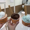 젤라떼리아사우스브룩