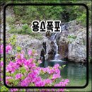 도대2리 마을회관 이미지