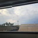 스테이한돌 이미지