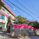 더블링독 이미지