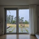 중문상로 38 ↔ 중문상로 111 | 제주 서귀포 중문 감성숙소 추천 미들도어 펜션 도어111