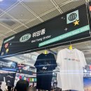 (사)푸른차문화연구원 | 2025 코엑스 서울국제불교박람회 후기, 부스 소개