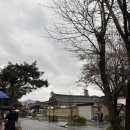 푸른요람