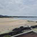 카페젠타일스 - 서귀포시 효돈로 133 | 카페젠타일스