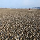 작은수해마을 이미지