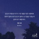 멍언니 쌀롱 | 요니의 직딩일기 #134 뜨거운 여름을 보내는 방법
